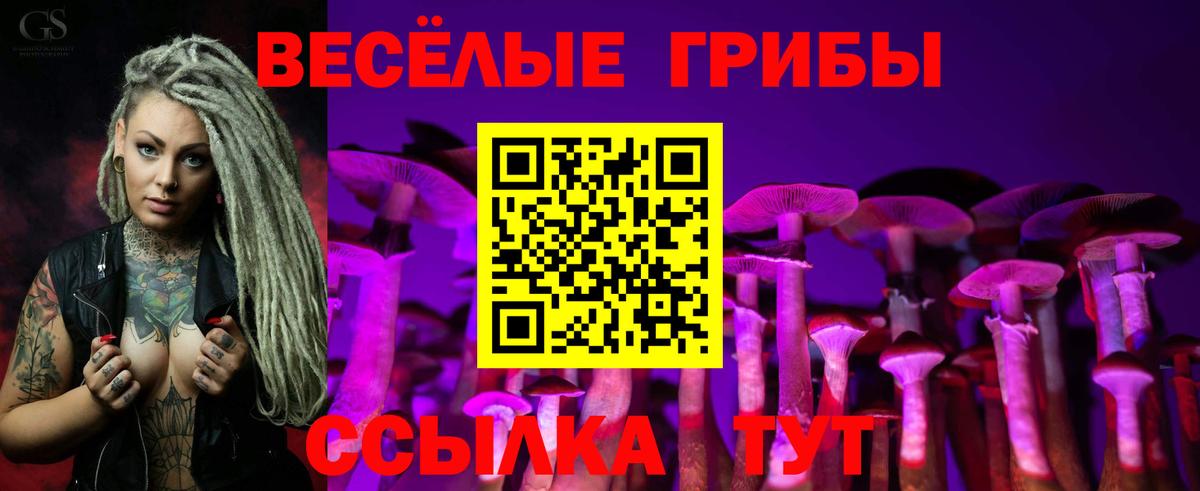 Псилоцибиновые грибы Psilocybine cubensis Лангепас